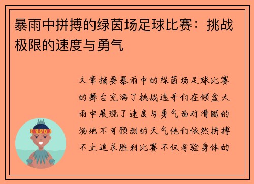 暴雨中拼搏的绿茵场足球比赛：挑战极限的速度与勇气