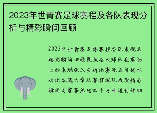 2023年世青赛足球赛程及各队表现分析与精彩瞬间回顾