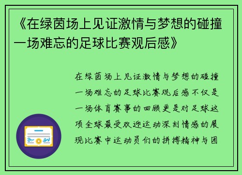 《在绿茵场上见证激情与梦想的碰撞一场难忘的足球比赛观后感》