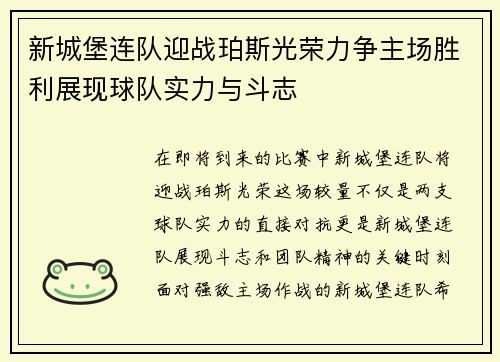 新城堡连队迎战珀斯光荣力争主场胜利展现球队实力与斗志