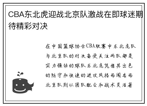 CBA东北虎迎战北京队激战在即球迷期待精彩对决