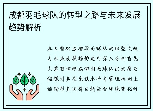 成都羽毛球队的转型之路与未来发展趋势解析