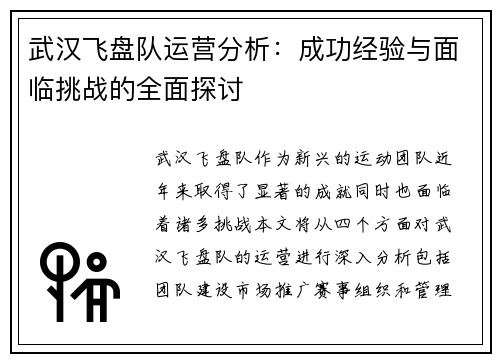 武汉飞盘队运营分析：成功经验与面临挑战的全面探讨