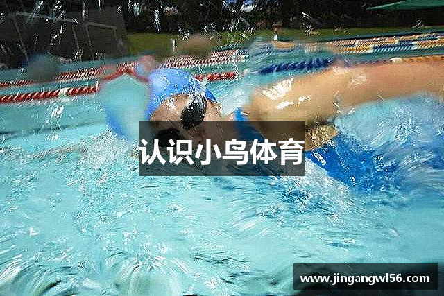 认识小鸟体育